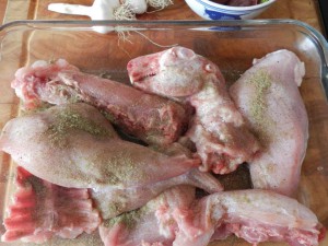 rabbit2