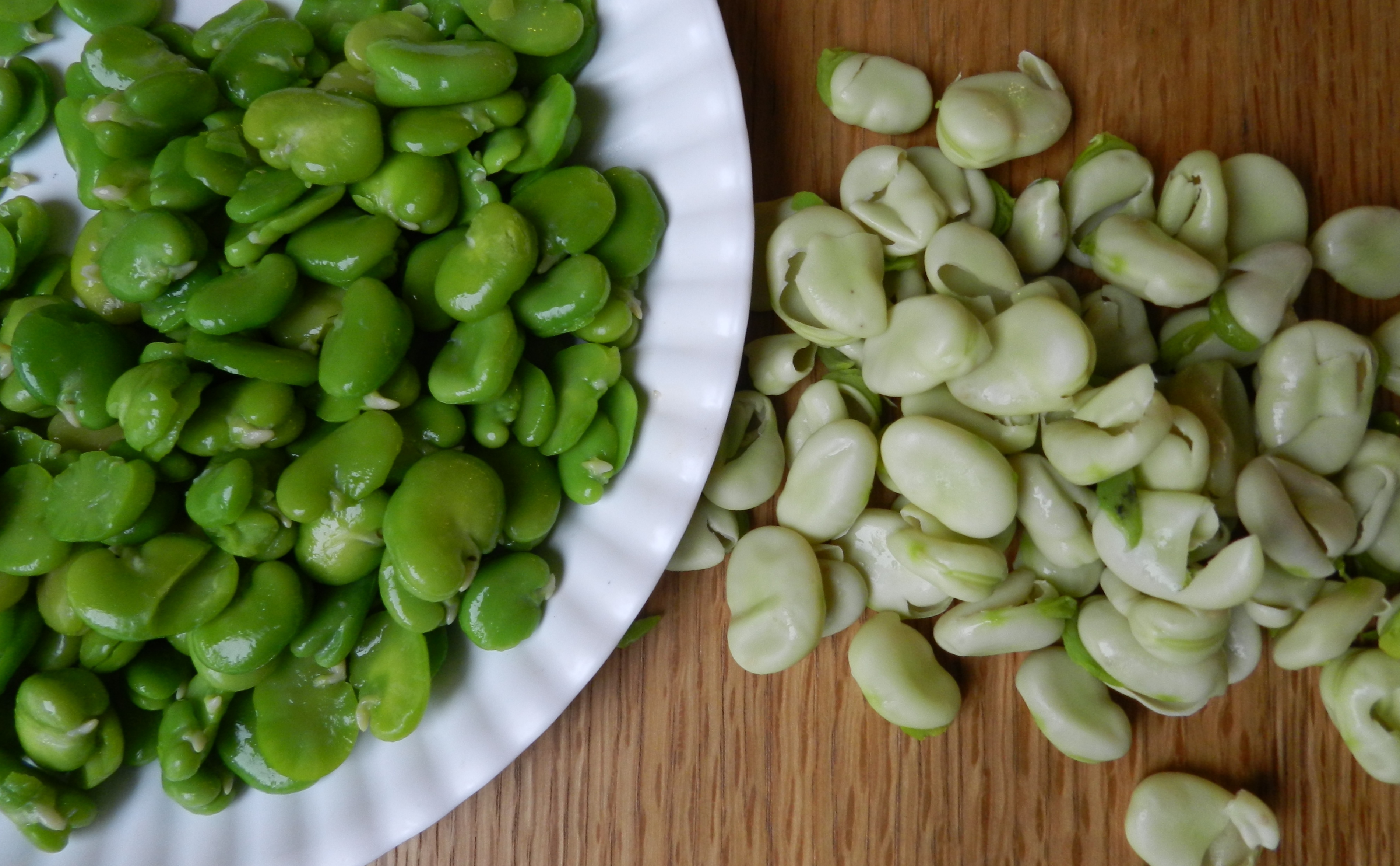 Fresh Fava Beans